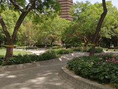-玲珑塔公园