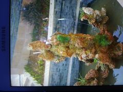 android_upload_pic-楠柏弯休闲山庄(梨花溪店)
