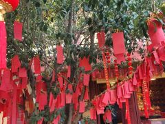 -福州开元寺