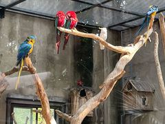 -大连森林动物园