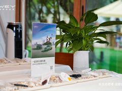 -柠檬花院烤肉·会议团建·聚会·求婚(三圣乡店)