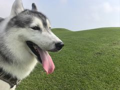 -秦皇岛阿尔卡迪亚滨海度假酒店