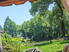 -野蔓果·山野菜(西湖景区·龙井茶田店)