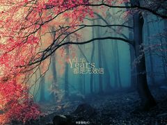 -过锅瘾三汁焖锅(东星时代广场店)