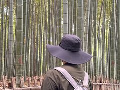 -杭州黄龙洞