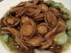 -美心皇宫(屯门大会堂店)