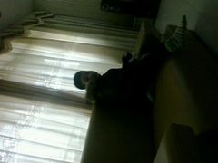 android_upload_pic-沃尔玛购物广场(广场路店)