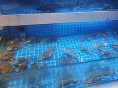 -花西亭·海鲜自助餐厅(瑞城名人酒店)