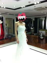 第一套出门纱&nbsp;鱼尾-韩国天使嫁衣婚纱礼服馆(上海旗舰店)
