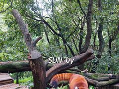 -云南野生动物园