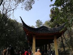 -灵岩山风景区