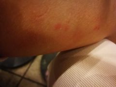 -如家酒店(北京西单大悦城店)