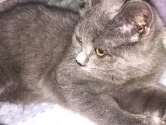 -北京博爱动物医院有限公司