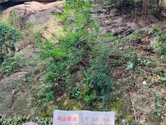-鸿山公园