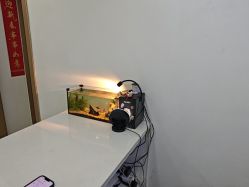 点击看大图 -HEYAN荷妍专业脱毛连锁机构