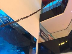 -迪拜水族馆及水下动物园