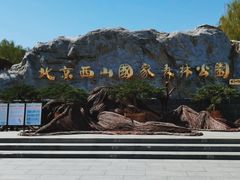 -北京西山国家森林公园