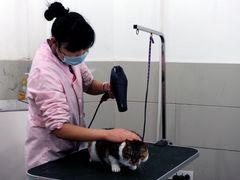 -瑞鹏瑞爱宠物医院·全科·猫科·血液透析中心(龙头寺店)