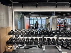 -健身专家Wellness Experts