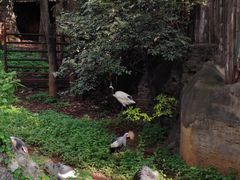 -昆明动物园