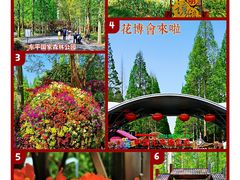 -东平国家森林公园