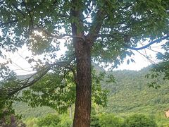 -贵阳市花溪国家城市湿地公园