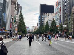 -秋叶原电器街