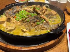 -老板恋上鱼(恒隆广场店)