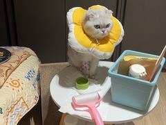 -宝乐康动物医院(北潞园店)