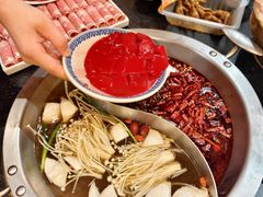 -沸炉重庆老火锅(军事博物馆店)