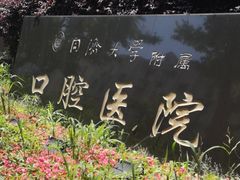 -同济大学附属口腔医院