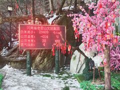 -老君山风景名胜区