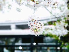 -上海南浦大桥长途旅游客运站