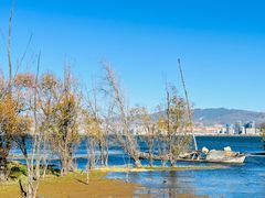 -洱海月湿地公园