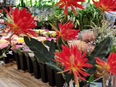 -新荟城(望京店)