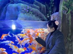 -左海海底世界