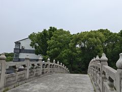 -南汇桃花村
