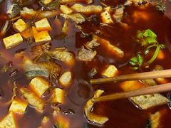 -云溪河冷锅鱼(成都玉林小吃街店)