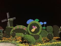 -荷兰花海
