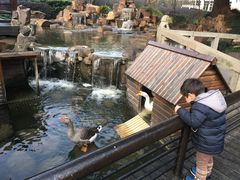 -上海美兆健康医疗体检中心(古北店)