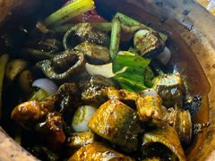 -天宝食坊·啫啫煲大排档(西华路店)