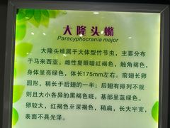 -上海昆虫博物馆