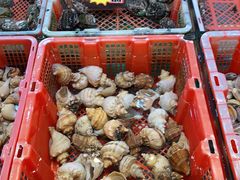-德兴海鲜渔港(辉煌大厦店)