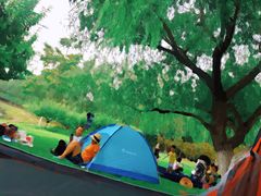 -永定河休闲森林公园