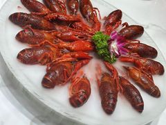 -京悦南门涮羊肉·羊蝎子火锅(田林路店)