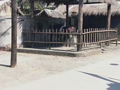 -铁道游击队纪念馆