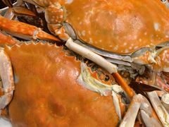 -北塘海鲜·天津菜(大光明桥旗舰店)