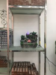 点击看大图 大厅-YDO SALON