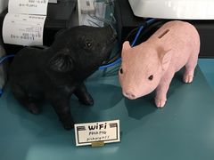 -WHEN PIGS FLY当猪飞