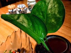 -提香日本料理